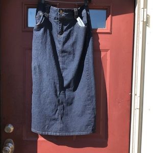 Women’s plus size jean skirt